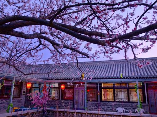 Beijing Badaling Great Wall Caos Courtyard guesthousel 1Private english tour guide 2Pick up&Drof off &landmark visiting serivice3Very near to Badaling Great Wall4Offer free beijing travel guide5Traditonal Chinese courtyard