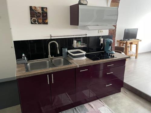 Bel appart spacieux 10min centre 300m quai de Seine WIFI