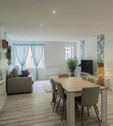 Bel appartement bord du Rhône