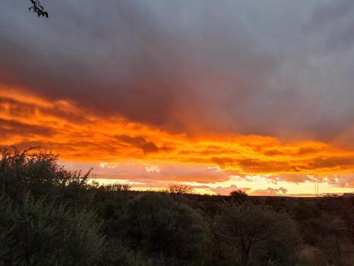 BellaTiny, Campsite - bring your own tent