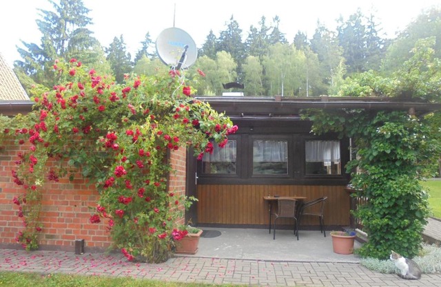 Bergfreiheit