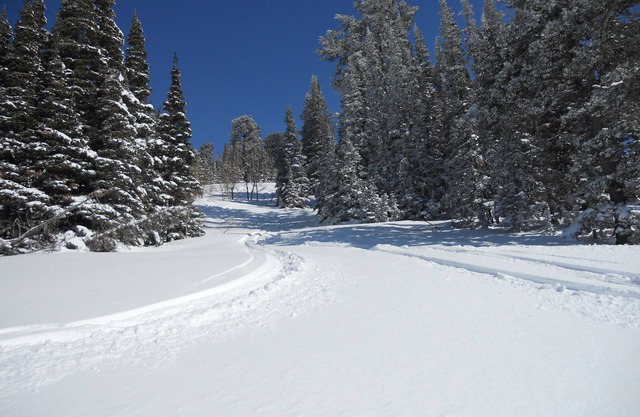 Best Deal!! 2BR/2BA Ski-in/out At Powder Mountain - Rare Slopeside Accommodation