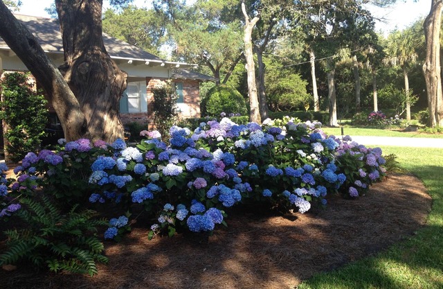 BEST LOCATION ON SEA ISLAND-ONLY 2 BLOCKS to CLOISTER HOTEL & BEACH CLUB
