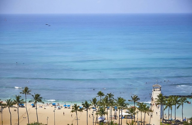 Best Value, Quality Stay! Unit w/Ocean View, Pets Allowed, Outdoor Pool