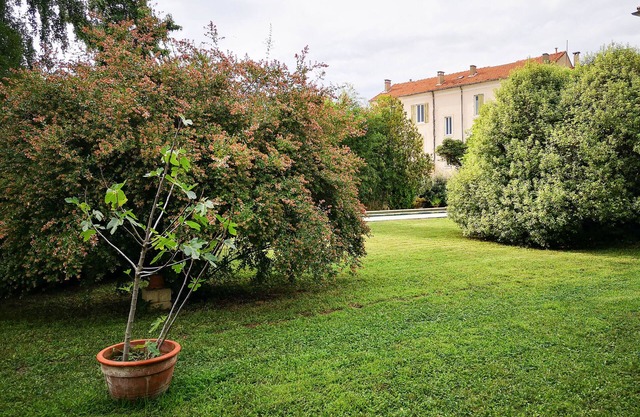 Between Cevennes and Sea, town house with garden and swimming pool (6 people)