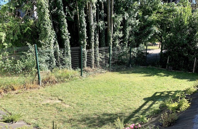 Between lake and mountains