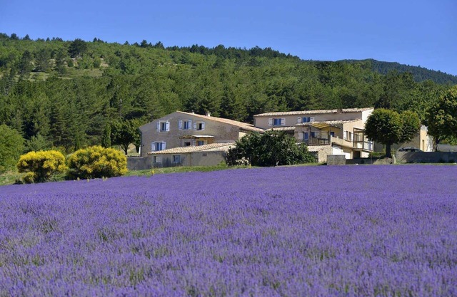 Between Ventoux and Luberon *