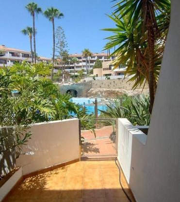 Bib's Apartment Parque Albatros - pool view