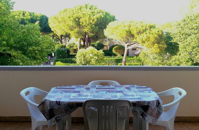 Bibbona Summer - Center