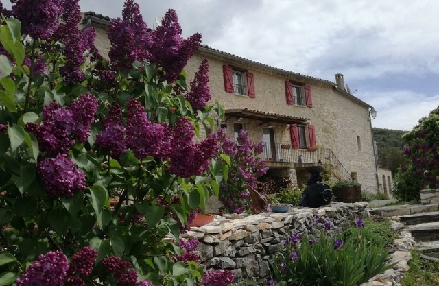 Big house for 10 people