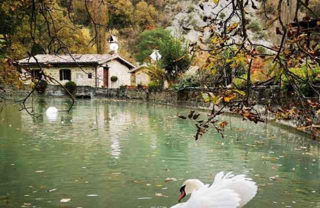 Big house sourrounded by greenery
