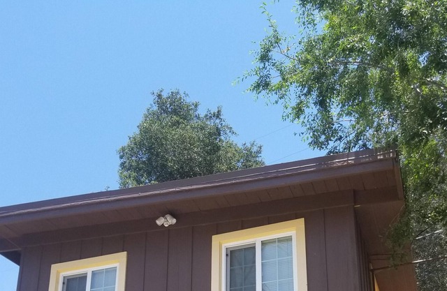 Bird House, relax in the mountains!