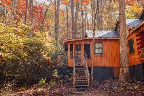 Bird's Nest cabin at Cabin Fever in NC