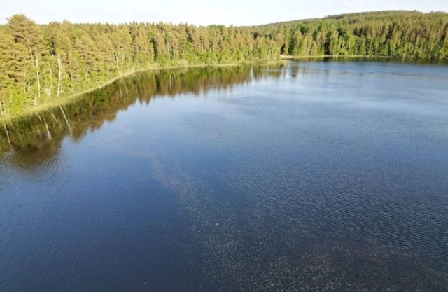 Blåbär hus Vimmerby - Nature, sauna & lake: Your retreat in the heart of Småland