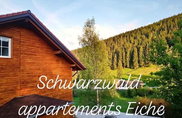 Black Forest Apartements by Hotel Grüner Baum Feldberg