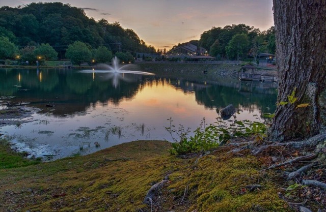 Blue Ridge Village, Banner Elk, 1 Bedroom Villa