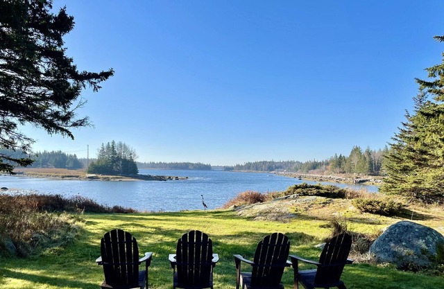 Blueberry Shore on Arey's Cove