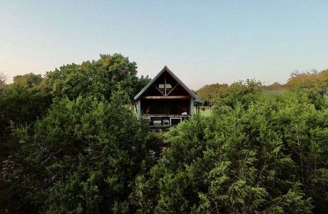 Bluebonnet, at Wanderin’ Star Farms