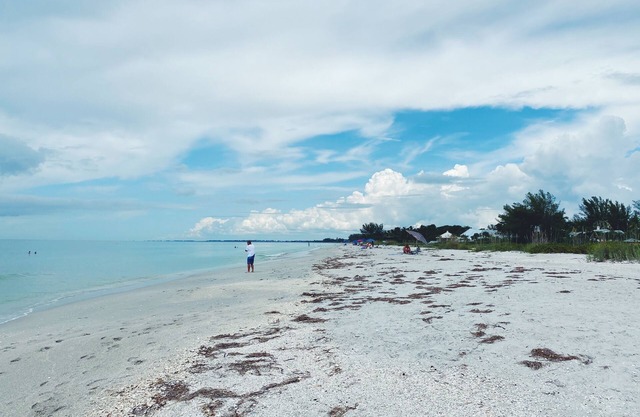 Boca Grande Single Family Home, Walk To Beach, Pool, Private Yard!
