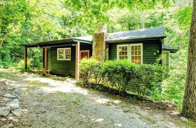 Book Lover's Mountain Cabin | 2 King Bedrooms, Library Wall & Peaceful Views