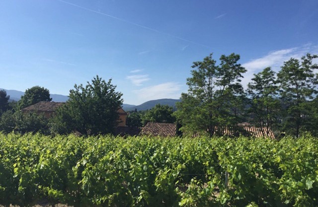 Boutique home with beautiful garden and large pool, short walk into town