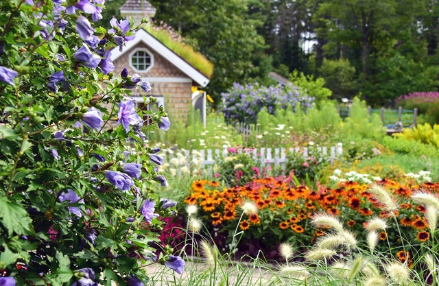 Brewster House Bed & Breakfast