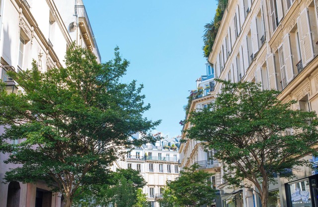 Bright and Central Studio Apartment for 2, Paris