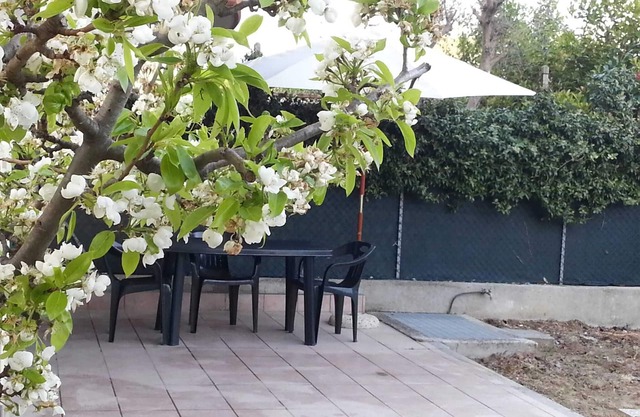 Bright house with 2 floors, private garden near by a natural park and sea side