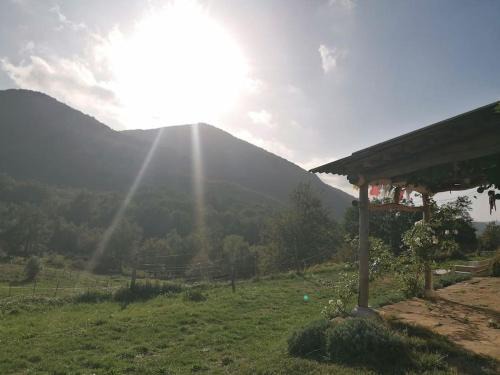 Bright loft with mountain and nature view