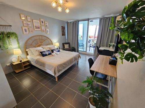 Brise Marine - Saint Gilles les Bains - Boucan - Studio vue mer