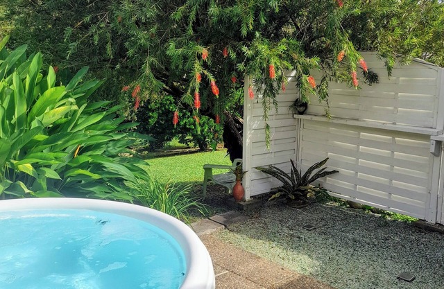 Bromeliads at Djo and Rosy's
