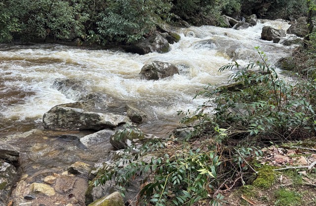 Buck Creek Cabin - between Highlands and Franklin NC