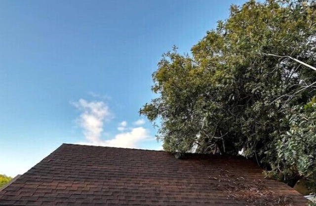 Bungalow #1 & Bungalow #2/1 Price-West LA Location SLEEPS SIX