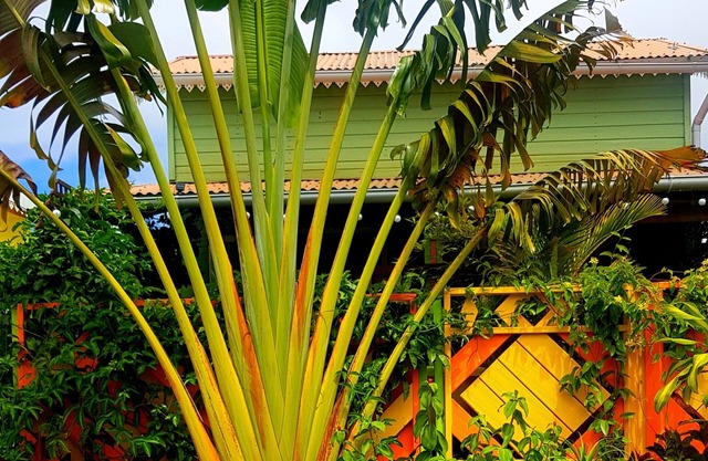 Bungalow Tout Couleur Avec Baignoire Chauffée Exterieure LE TI Citron Vert