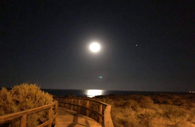 BUNGALOW WITH TERRACE 50M2