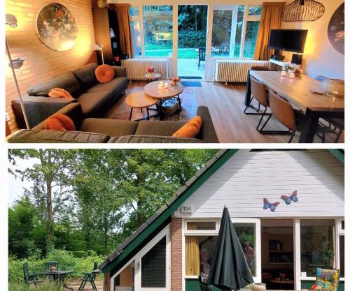 Butterflies, bungalow 134