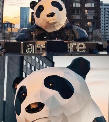 BuYuan Hotel - Near Wuhou Shrine, Chunxi Road,T aikooli, Tianfu Square, People's Park, Chengdu Museum, Very close to the Sichuan University , Exit C of Huaxiba on Metro Line 1,Provides Welcome refreshments ,Minibar,Laundry & Luggage delivery service