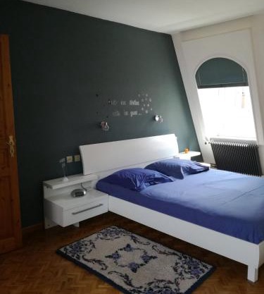 "Côté cœur", charmant appartement au centre de Munster