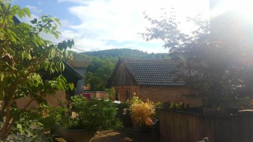 "Côté nature", appartement cosy au cœur de Munster