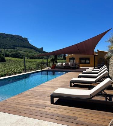 Côté vignes cassis