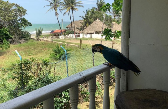 Cabaña El Pelícano