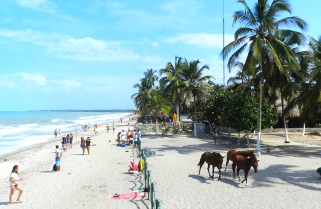 Cabañas Vacacionales En Palomino Guajira