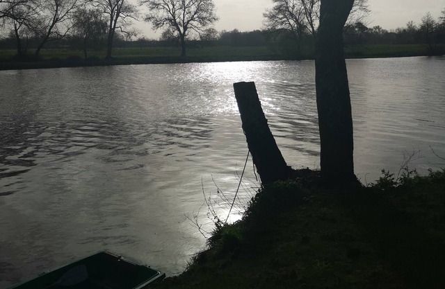 Cabanon de Charme les Pieds Dans L'eau !