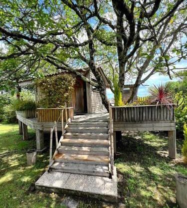 Cabane en bois climatisée