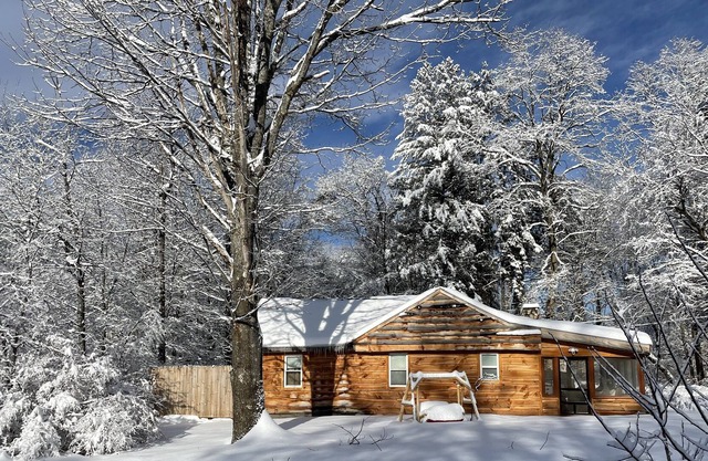 Cabin Fever Getaway With Brand New 2022 Nordic Jacuzzi Spa Hot Tub