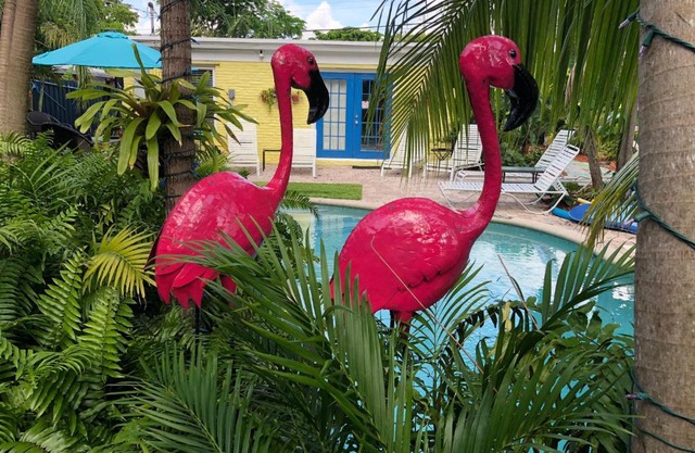 Calypso Inn Wilton Gay Male Resort