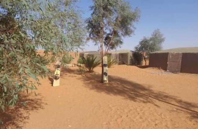 Camel trek bivouac in Merzouga