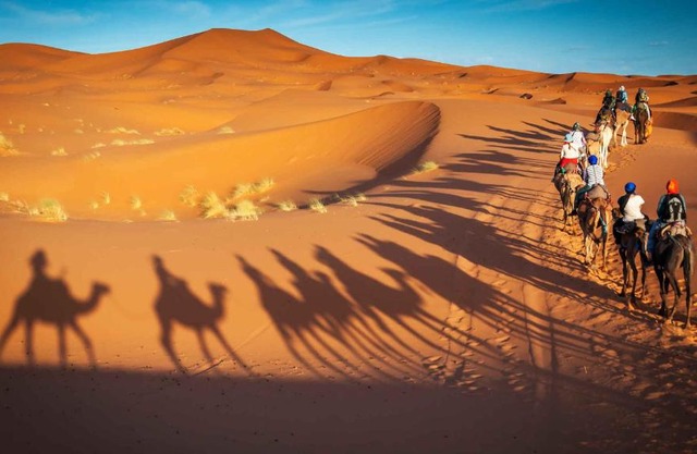 Camel Trekking Camp
