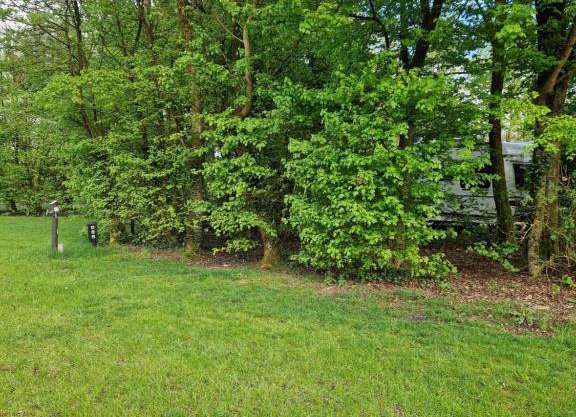 Camping Alkenhaer Appelscha Lege Kampeerplaats