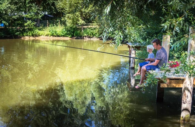 Camping de l'Etang Sites and Landscapes * - Privilege Cottage 3 ch. - TV - LV 8 persons